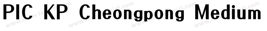 PIC KP Cheongpong Medium KP 97KPS F字体转换